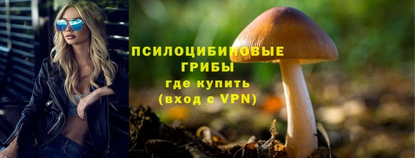 индика Алексеевка