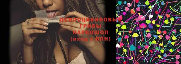 индика Алексеевка