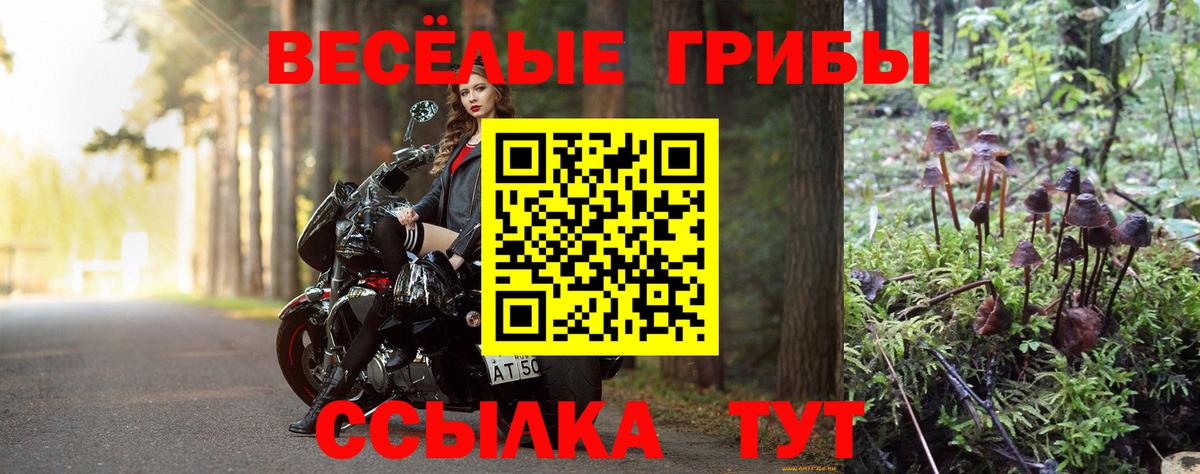 Галлюциногенные грибы Cubensis Ставрополь