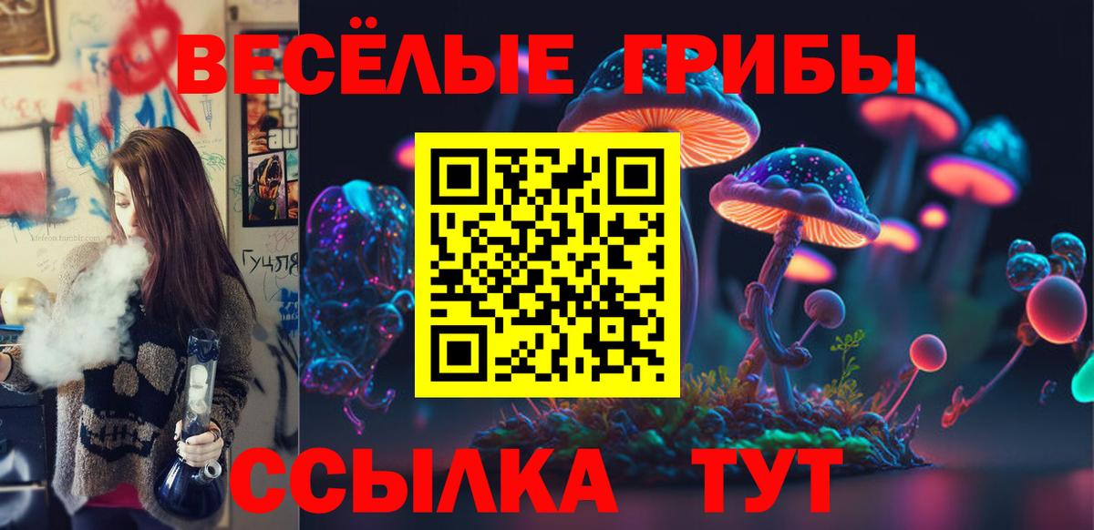 Ставрополь  купить наркотики цена  Вход с VPN  Псилоцибиновые грибы Psilocybe 
